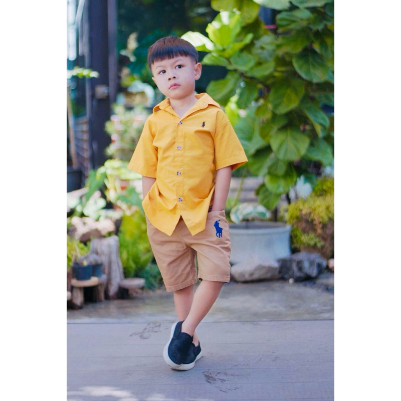 เสื้อเชิ้ตเด็กแขนสั้น 2-7ปี ใส่แล้วดูสุภาพ เรียบร้อย ดูดี