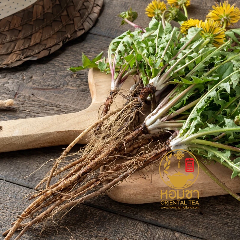 ชารากแดนดิไลออน บำรุงตับ ไต ไขมัน ขับพิษ บำรุงเลือด Dandelion Root Tea - รูปที่ 3
