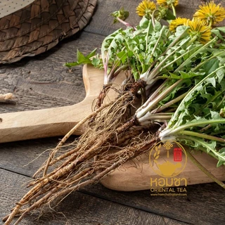 รากแดนดิไลออน ชารากแดนดิไลออน เกรด A ของแท้ Dandelion Root Tea