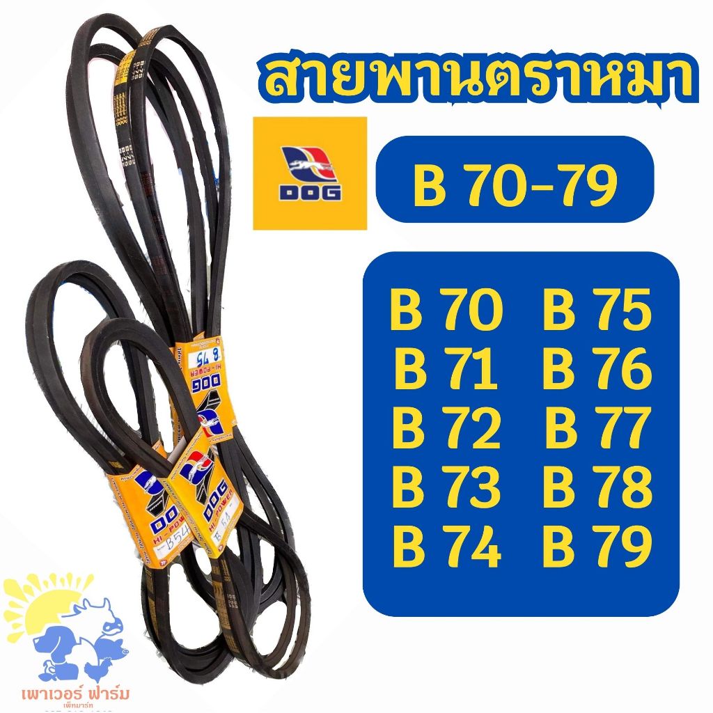 [B70-79] V-belt สายพาน DOG ร่อง B สายพานตราหมา เบอร์ B70-B79 [B70,B71,B72,B73,B74,B75,B76,B77,B78,B7