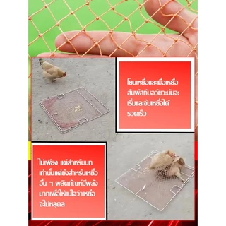 ที่ดักไก่ป่า กับดัก ไก่ กับดักนก กับดักแบบตาข่าย สี่เหลี่ยม กรอบสแตนเลส ไม่สึกหรอง่าย สปริงอย่างดี ตาข่ายในล่อน