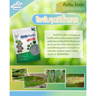 ไตรโคเดอร์มา แบบผง(500กรัม) เพาะเชื้อจากห้อง LAB พร้อมใช้ ปลอดภัย 100 %