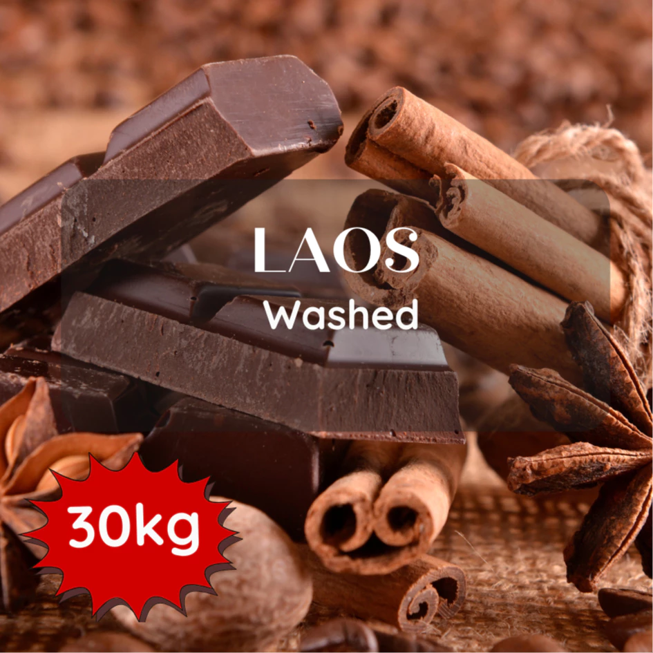 สารเมล็ดกาแฟ Laos Washed 2025 ขนาด 30kg
