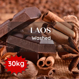 สารเมล็ดกาแฟ Laos Washed 2025 ขนาด 30kg