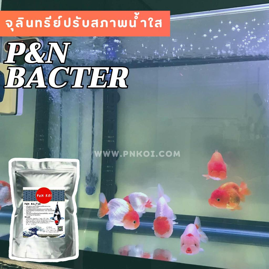 จุลินทรีย์ปรับสภาพน้ำใส P&N Bacter