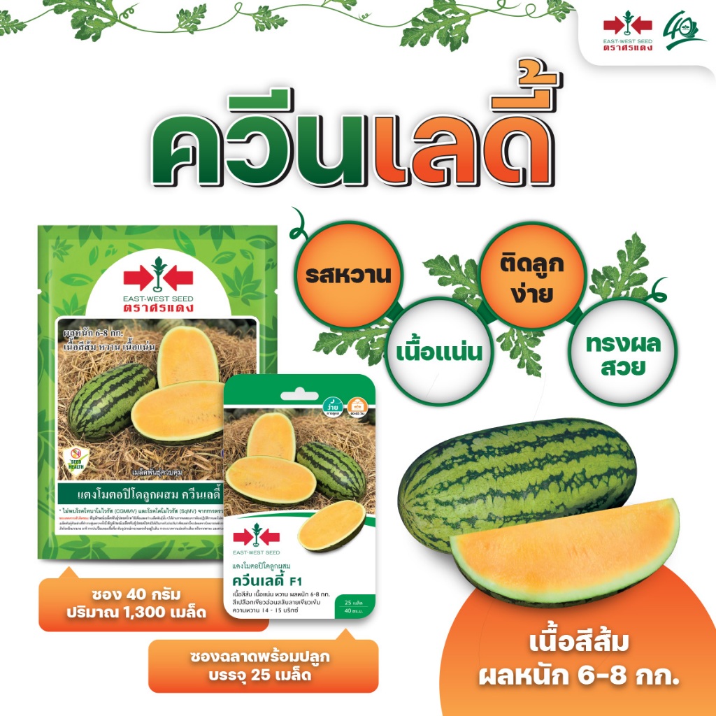 ใหม่! เมล็ดพันธุ์แตงโมตอปิโด ควีนเลดี้ ตราศรแดง บรรจุ40กรัม เมล็ดแตงโม เมล็ดแตงโม เมล็ดพันธุ์แตงโม แตงโมเนื้อส้ม ราคา ถูกที่สุด ดีลบีเคเค