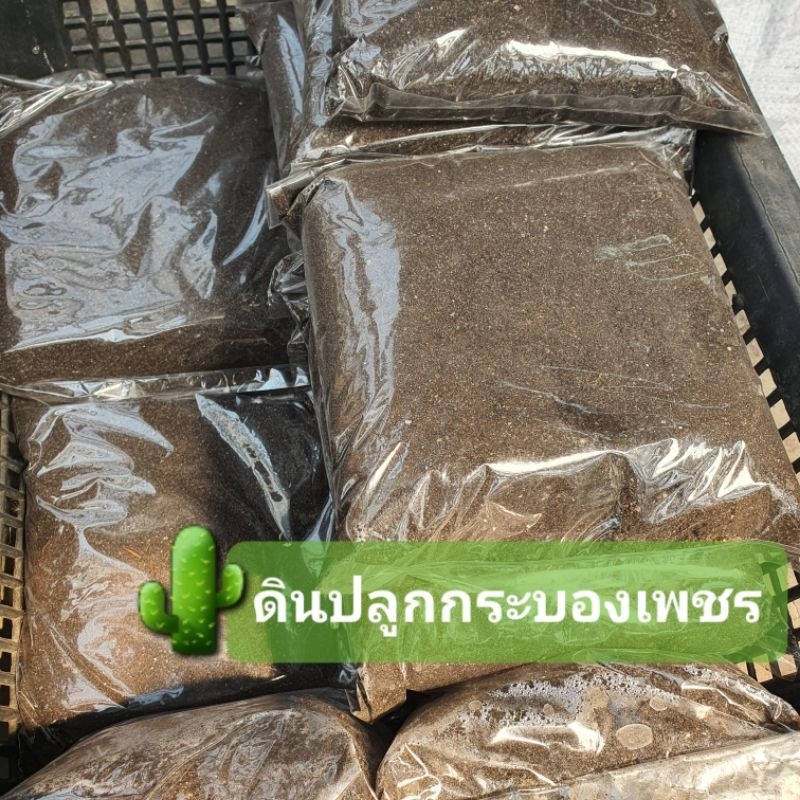 ดินปลูกกระบองเพชร ผสมแล้ว พร้อมใช้งาน