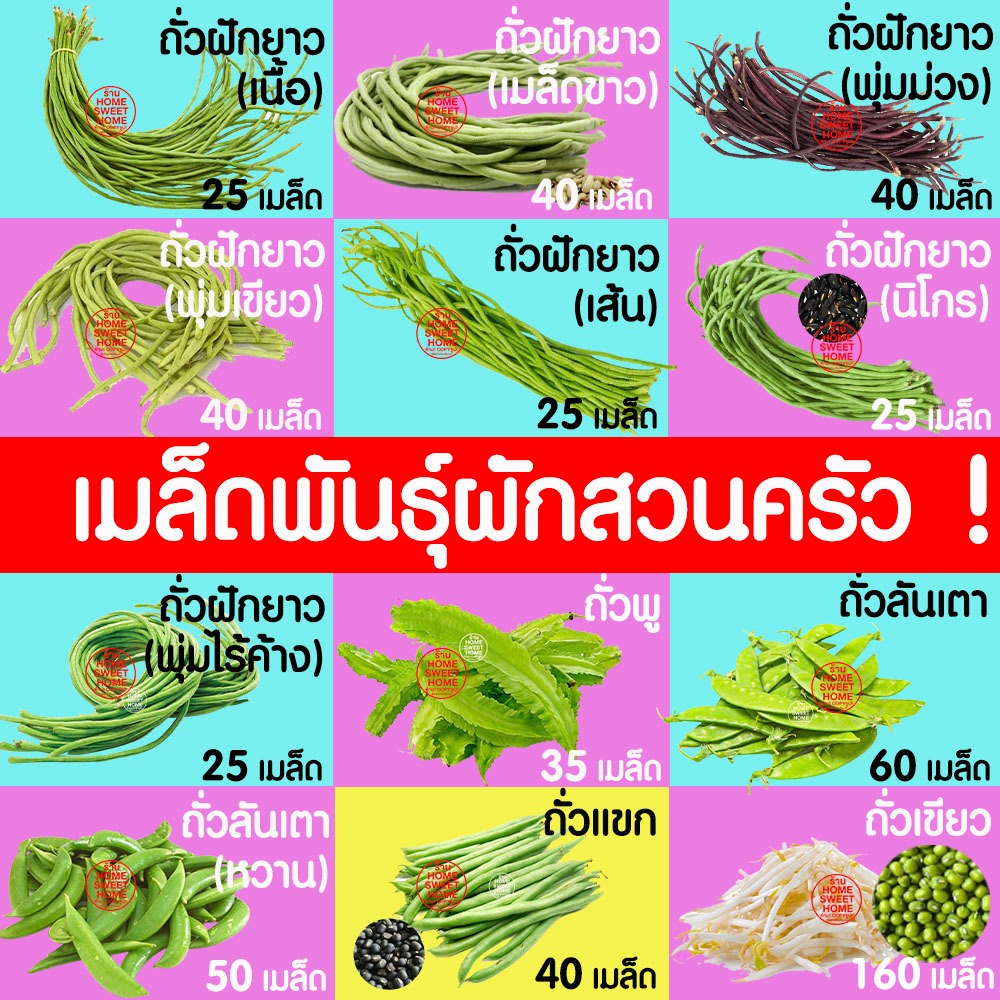 *โค้ดส่งฟรี*เมล็ดผัก(ตระกลูถั่ว) เมล็ดผัก ผักสวนครัว  เมล็ดพันธุ์ เมล็ดพันธุ์ผัก งอกดี ปลูกผัก ปลูกไว้ทานเอง Clearance