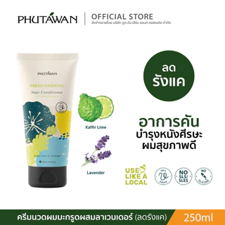 ภูตะวัน ครีมนวดผม สูตรทรอปิคอล tropical hair conditioner สูตรสมุนไพรบำรุงเส้นผมและหนังศรีษะ 250ml