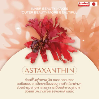 (3กล่อง) PERRI collagen plus 20X คอลลาเจนไดเปปไทด์พรีเมียมจากญี่ปุ่น