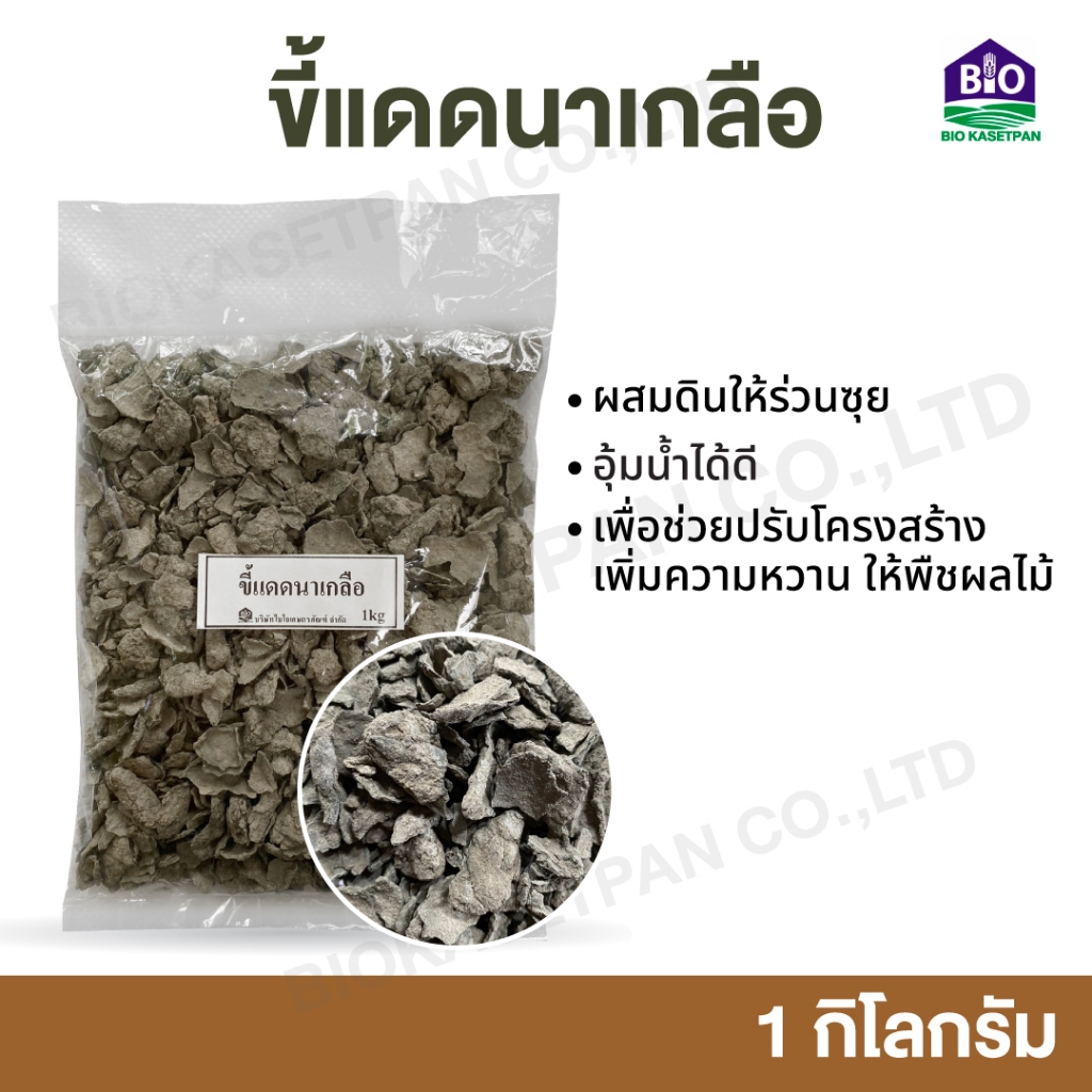 ขี้แดดนาเกลือ 1 กิโล อุ้มน้ำได้ดี สามารถใช้ในการปลูกพืช เพื่อช่วยปรับโครงสร้างดินให้ร่วนซุยขึ้น เพิ่มความหวาน ให้พืช
