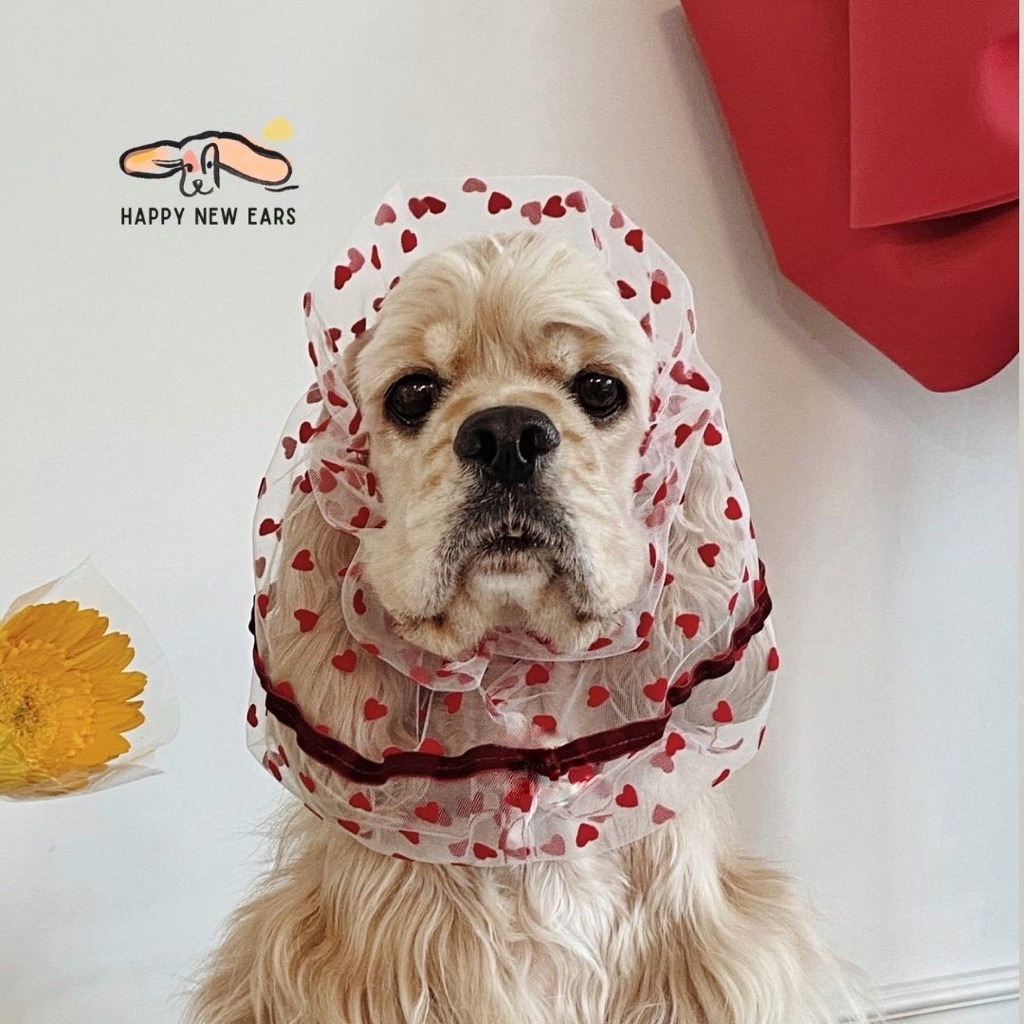 ที่เก็บหูสุนัข HAPPY NEW EARS - Dog Snood สำหรับสุนัขหูยาวขนาดกลาง ทรง Tube กันหูเปียกน้ำอาหาร ป้องกันหูอักเสบหูเหม็น