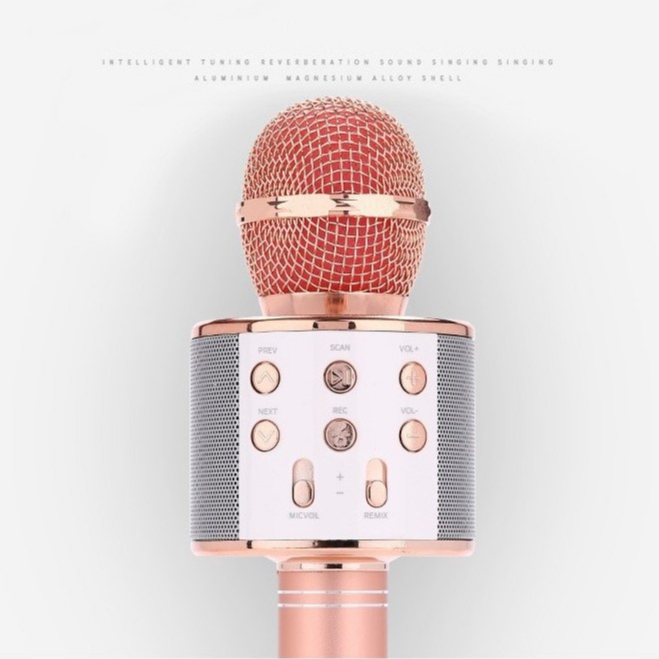 WSTER 💥งานแท้100%💥 ไมค์คาราโอเกะ WS-858 ไมโครโฟนไร้สาย ร้องคาราโอเกะได้ เปลี่ยนเสียงได้ 5 เสียง พร้อมฟังก์ชั่นหลากหลาย