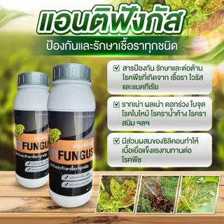 แอนติฟังกัส (โปร 1 ขวด) สารป้องกันและกำจัดเชื้อรา