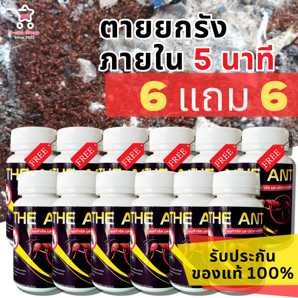 (ยกลัง คุ้มสุด) 6 แถม 6 ได้ 12 กระปุก The Ant ผงกำจัด มด ปลวก แมลงสาบ สูตรตายยกรัง ภายใน 5 นาที