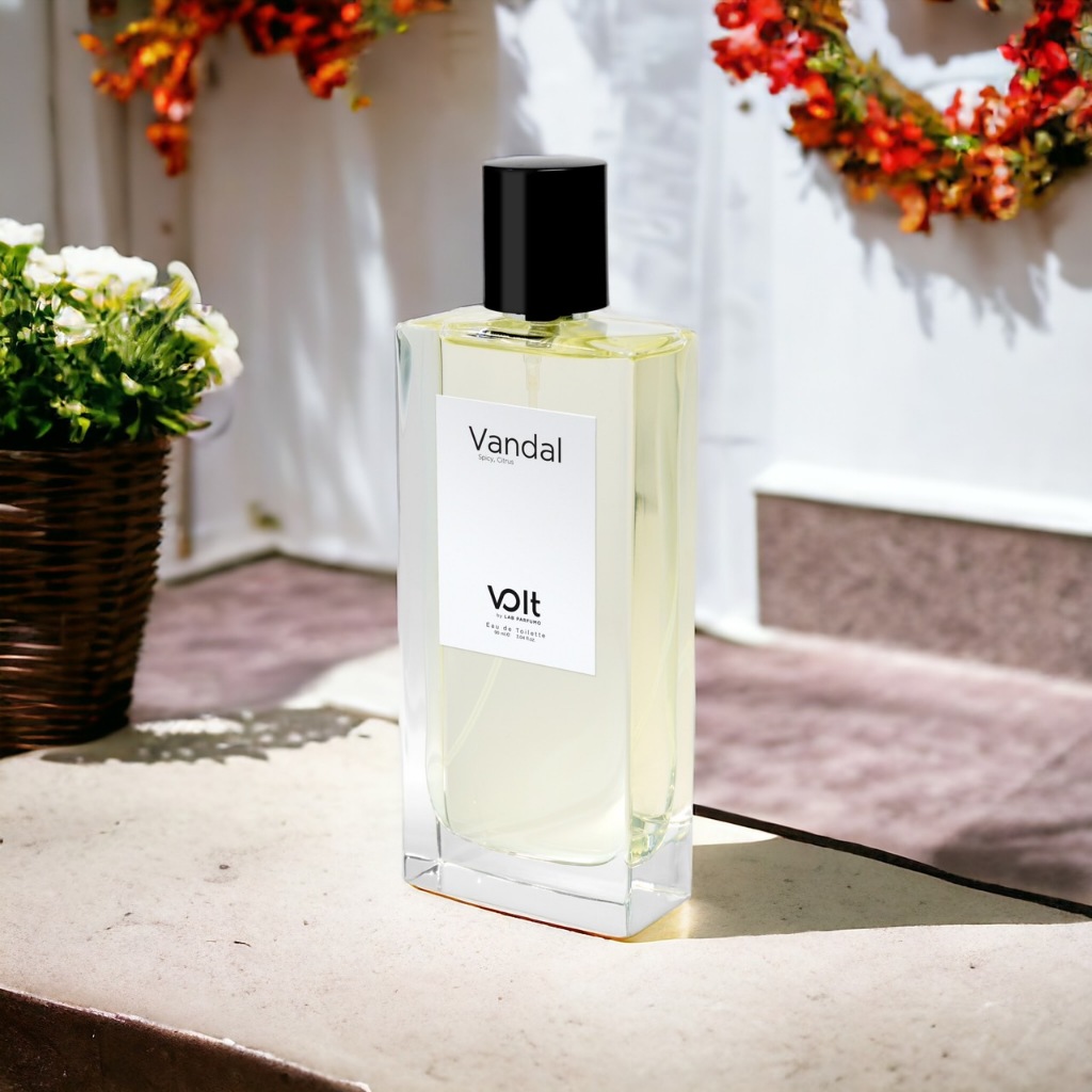 VOLT VANDAL Eau de Toilette น้ำหอมสำหรับผู้ชาย โวลต์ แวนเดิล กลิ่นมีเสน่ห์ โดดเด่น ขนาด 90ml