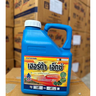 เฮอร์ต้าเอ็กซ์ 4ลิตร (กระติกฟ้า) (ยกลังมี6กระติก)