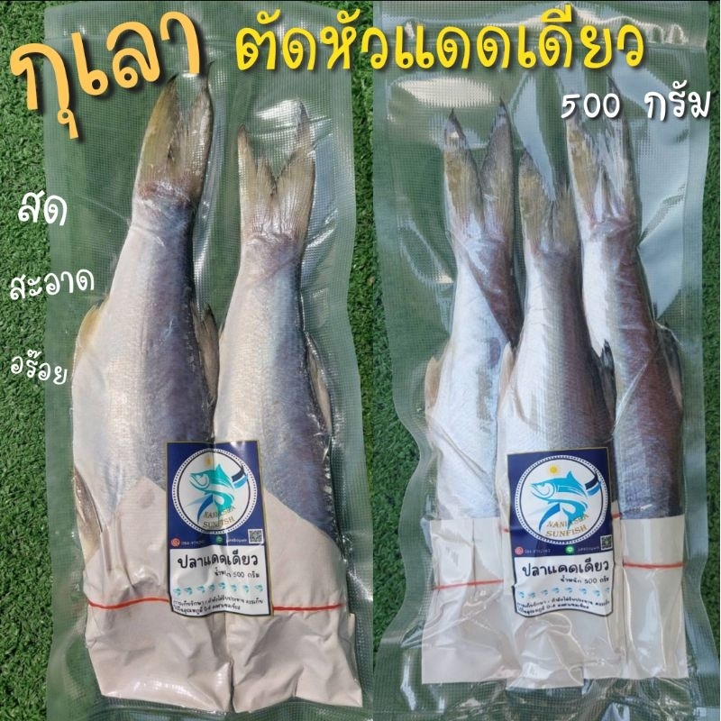 ปลากุเลา(ตัดหัว)แดดเดียว(เกรดส่งออกคัดพิเศษ)ไซส์ 2-3 ตัว น้ำหนัก 500กรัม(สูตรเค็มน้อย)อวนลอยธรรมชาติ สะอาด อร่อย