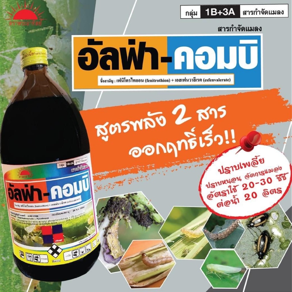 อัลฟ่า-คอมบิ 500 ซีซี :เอสเฟนวาลีเรต 1.25%+ เฟนิโตรไทออน 25% W/V EC กำจัดศัตรูพืชประเภทหนอน และแมลงปีกแข็ง