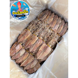 หมึกหนัง ไซต์4 🦑 หมึกแห้งผ่า เนื้อหวาน สด สะอาด ใหม่ นำไปทำอาหารอร่อย ไม่เค็ม