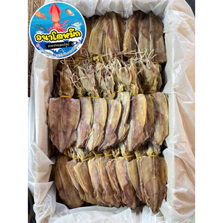 หมึกหนัง ไซต์4 🦑 หมึกแห้งผ่า เนื้อหวาน สด สะอาด ใหม่ นำไปทำอาหารอร่อย ไม่เค็ม