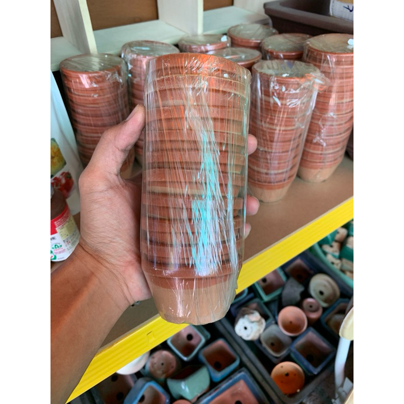 กระถางเทรนนิ่ง  กระถางบอนไซ