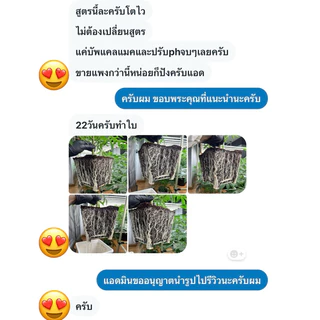ส่งฟรี‼️ขุยมะพร้าว/มะพร้าวสับล้างสารแทนนิน (มีใบตรวจรับรองโลหะหนักและสารตกค้าง ec sodium📃🏆🏅Thaiworm cocoการันตีค่าec