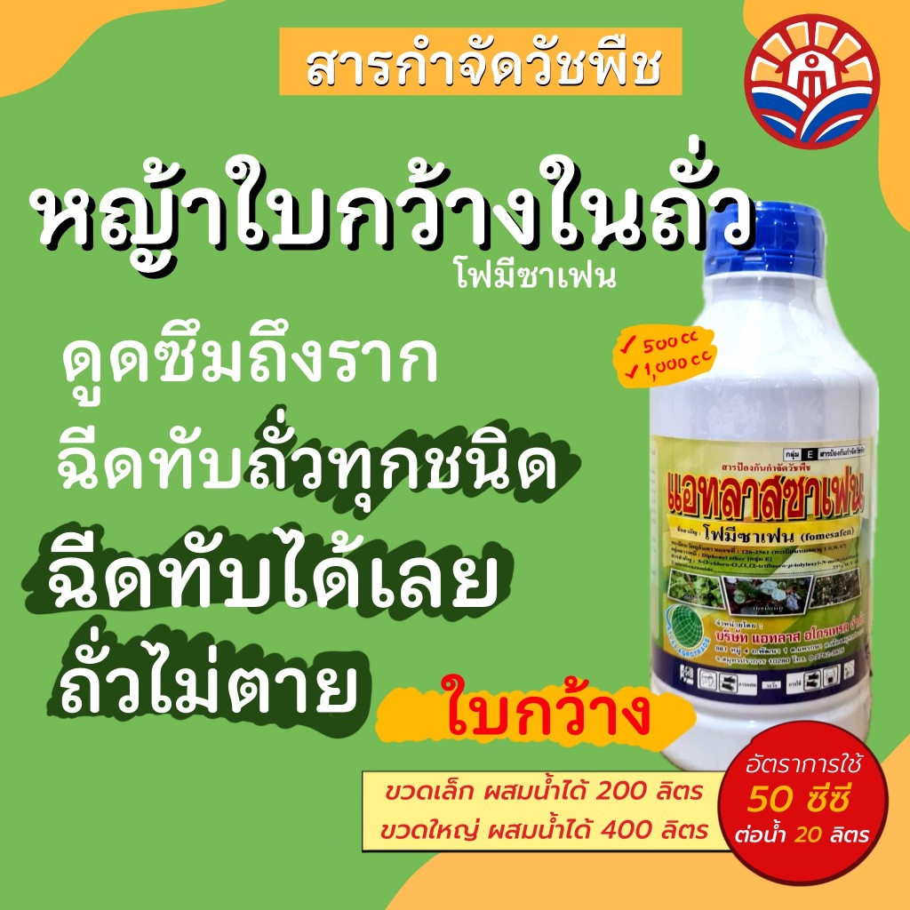 ส่งด่วน! แอทลาสซาเฟน ใช้หลังวัชพืชงอกในถั่วเหลือง ถั่วเขียวผิวมัน ถั่วเขียวผิวดำ ฉีดทับถั่ว ไล่ร่องพริก กำจัดวัชพืช
