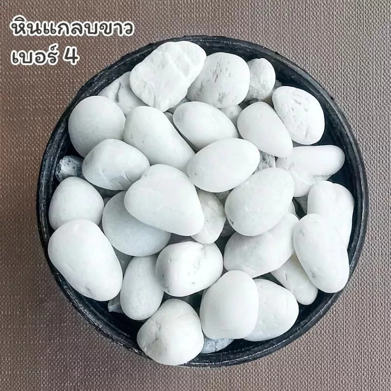 หินโรยหน้ากระถาง 1 กิโลกรัม โรย แคคตัส บอนไซ ตู้ปลา จัดตู้ปลา สวยมาก หินแม่น้ำขาว โขง เทาฟ้า thumbnail 7