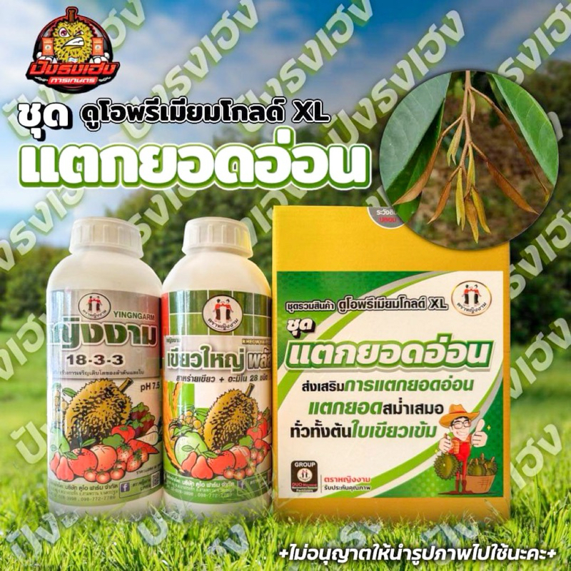 ชุดกระตุ้นยอด 1 ชุดได้ 2 ขวด (เขียวใหญ่พลัส1+18-3-3 1) กระตุ้นการแตกใบอ่อน ใบอ่อนแตกเร็วแตกสม่ำเสมอ ใบเขียวใบเข้ม