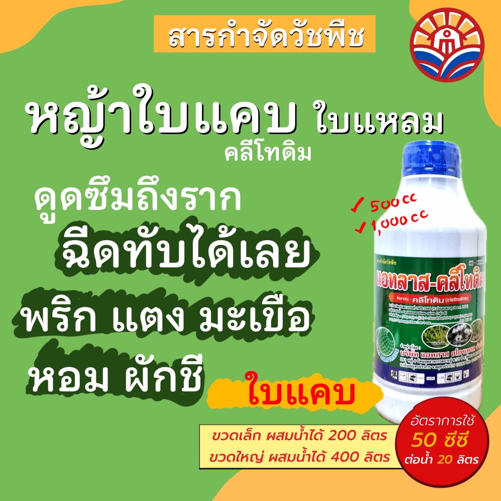 ส่งไว! แอทลาส-คลีโทดิม ฆ่าหญ้าใบแคบ หญ้าตีนกา หญ้าตีนนก ฉีดทับได้ในถั่ว พริก ผักชี มันสำปะหลัง ปลอดภัยต่อพืช