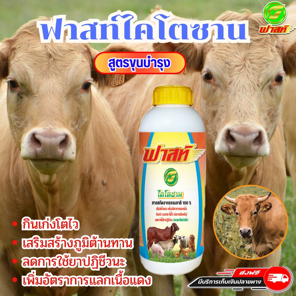 เพิ่มจุลินทรีย์ย่อยอาหาร เพิ่มอัตราการแลกเนื้อ ฟาสริช168 ไคโตซานฟาสท์1ขวด เพิ่มภูมิต้านทานป้องกันโรค