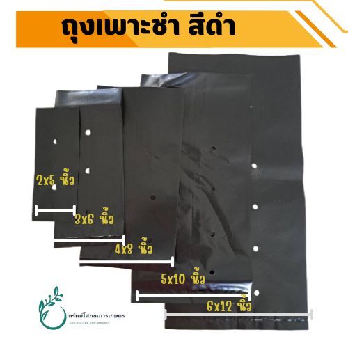 ถุงเพาะชำ ขนาด 2,3,4,5,6 นิ้ว