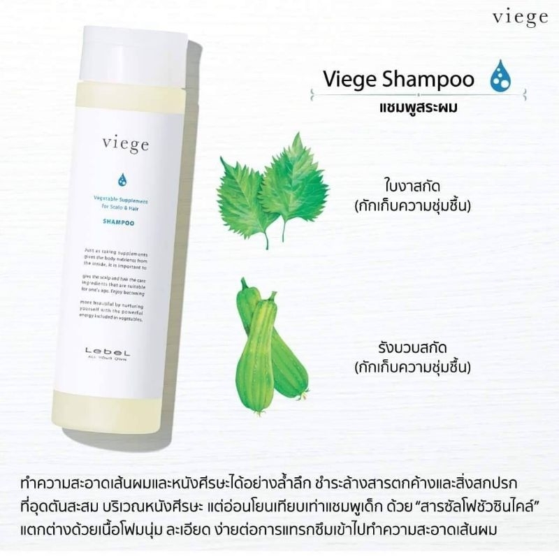 Lebel Viege for Scalp &amp; hair shampoo 240ml + Hair treatment SOFT 240ml แชมพูชำระล้างขจัดสิ่งอุดตันบนหนังศรีษะอ่อนโยนต่อห