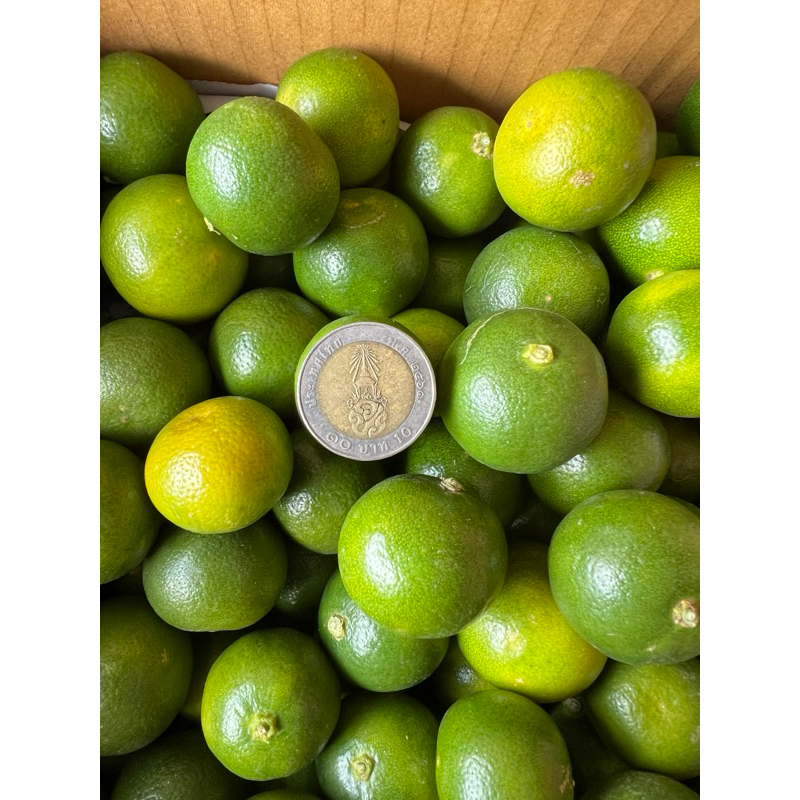 รูปภาพ 8