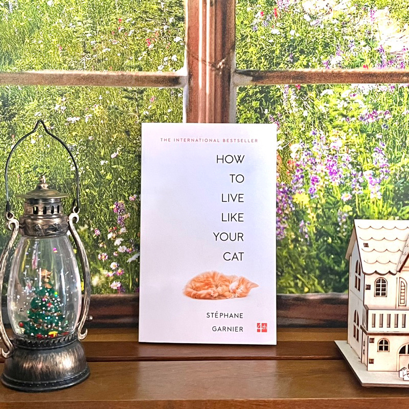 How to live like your cat 🐈 ปรัชญาแมวเหมียวฉบับน่ารัก