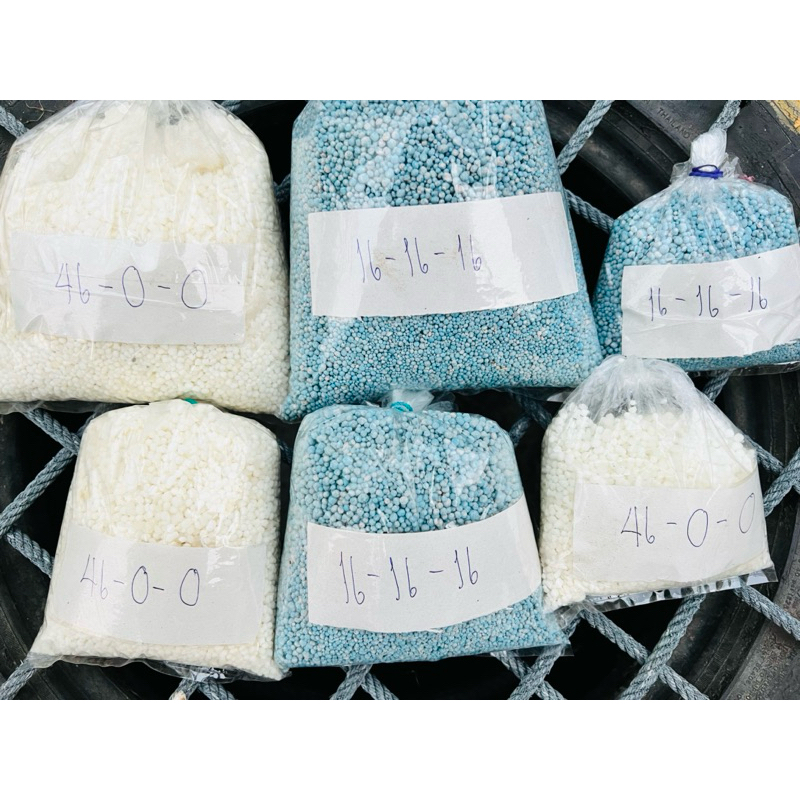 ปุ๋ย16-16-16 ตราเรือใบไข่มุก