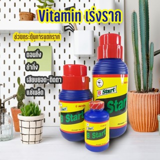 ส่งใว B1 B start Vitamin เร่งการผสมเกษร+แตกรากเร็ว+เยอะ แก้ป…
