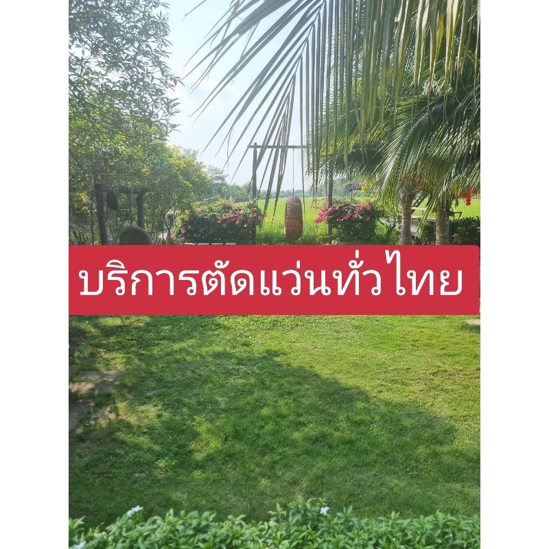 ตัดแว่น สายตา สั้น ยาว เอียง (อ่านรายละเอียดด้านล่าง)
