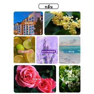 พร้อมส่ง ก้านไม้หอมปรับอากาศ น้ำมันหอมระเหย ดับกลิ่นห้องน้ำ ของขวัญ พร้อมกล่อง 50มล ดอกไม้แห้ง ก้านน้ำหอม น้ำหอมอโรม่า