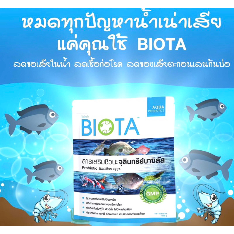 BIOTA จุลินทรีย์จบทุกปัญหาน้ำเขียว ขี้แดดเยอะ ลดแอมโมเนียไนไตรท์พร้อมใช้ไม่ต้องหมักของแท้ #ไบโอต้า #