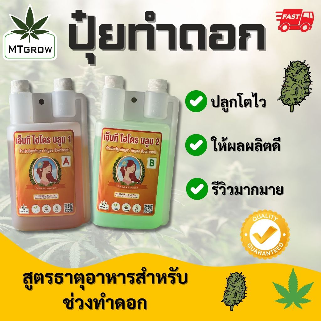 (โตไว รีวิวเพียบ) ปุ๋ย AB กัญชา 420 ปุ๋ยทำใบ ปุ๋ยทำดอก Hydro / coco