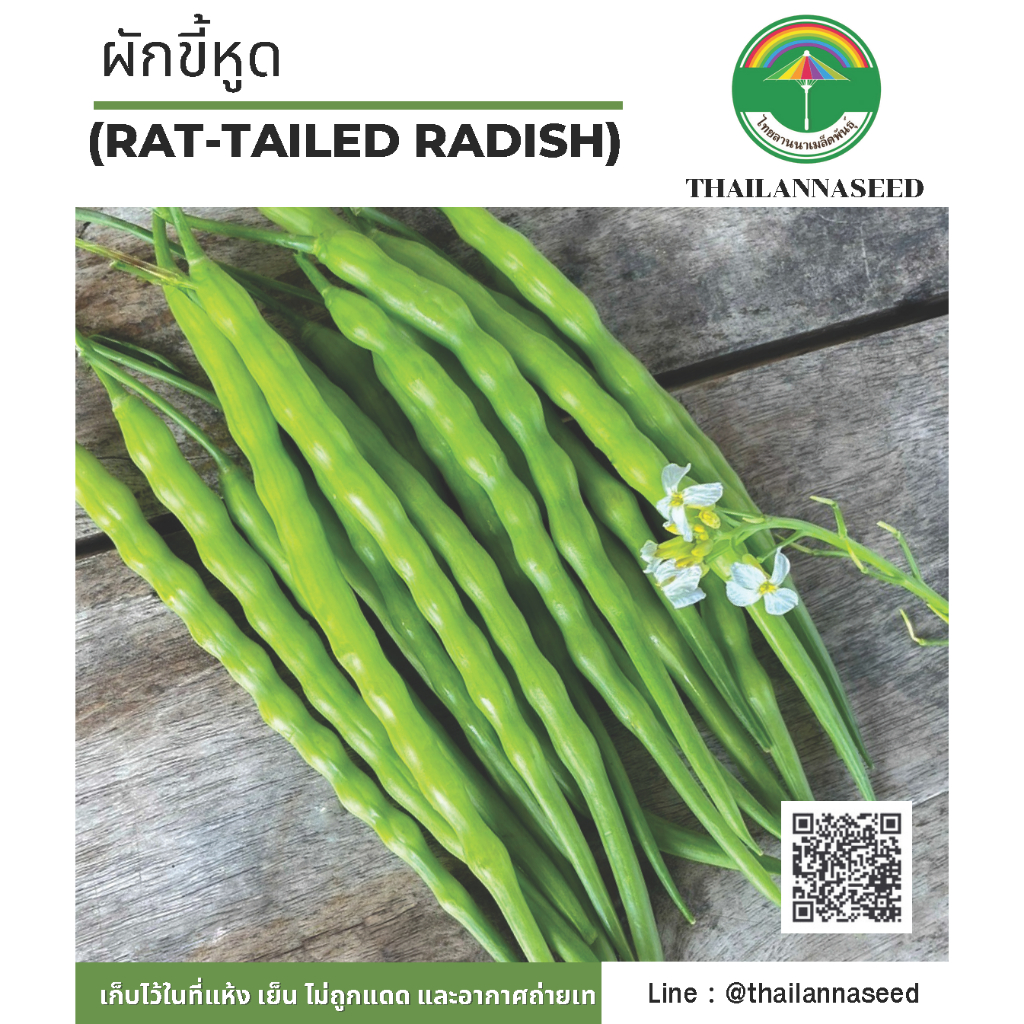 เมล็ดพันธุ์ผักสวนครัว ผักขี้หูด ( ขนาด 3 กรัม ) รหัสสินค้า 6032