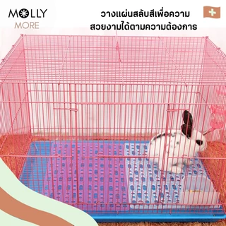 MOLLY แผ่นปูกรง แบบใส มีตัวล็อค แผ่นรองพื้นกรง ปูพื้นห้อง กันลื่น แผ่นรองกรงสัตว์เลี้ยง แผ่นปูพื้น แผ่นสแลค