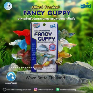 Hikari Fancy Guppy 22 g. อาหารปลาพันธุ์เล็ก ปลาหางนกยุง (มีกลิ่นหอมของปลาหมึก)