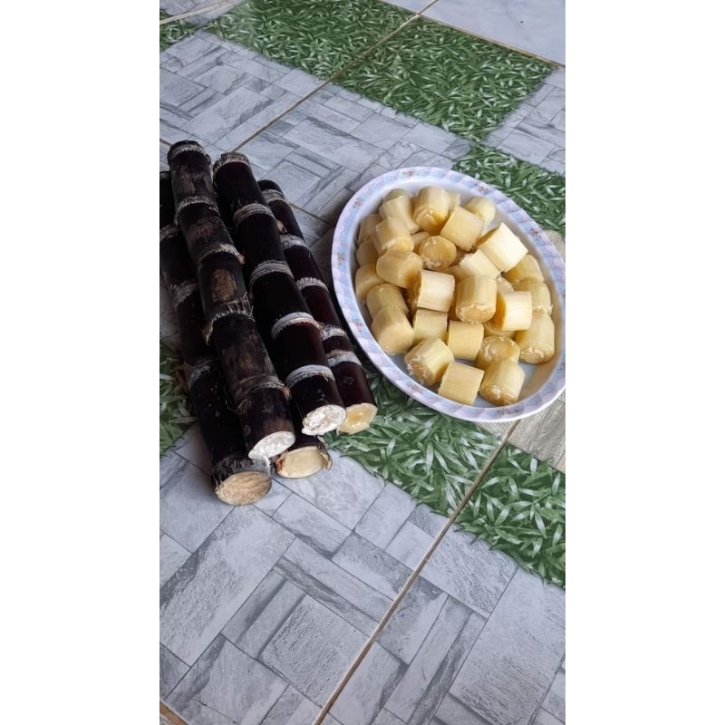 อ้อยเมอร์ริชาร์ดท่อนพันธุ์คุณภาพตัดใหม่ทุกวันค่ะ 👉1 ชุด 10 ข้อตารสชาติหวาน หอม ซั่งนิ่ม ปลูกดูแลง่าย โตเ - รูปที่ 5