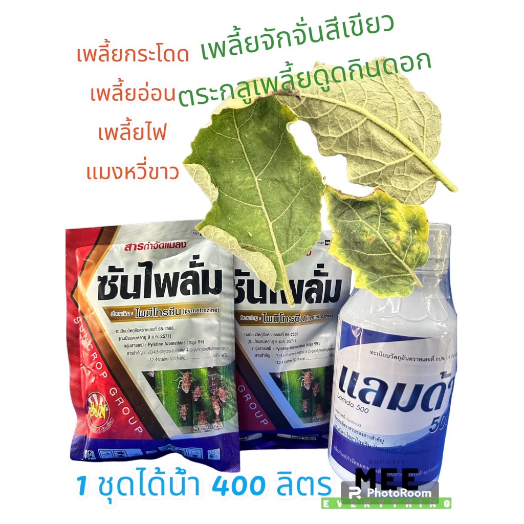 เพลี้ยจักจั่น เพลี้ยสีเขียว เพลี้ยกระโดด เพลี้ยอ่อน แมงหวี่ขาว เพลี้ยไฟ ตอมช่วงติดดอก ใบไหม้ แห้งกรอบ