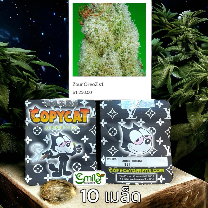 เมล็ดกัญชา Zour Oreoz S1 (Fem) - Copycat Genetix