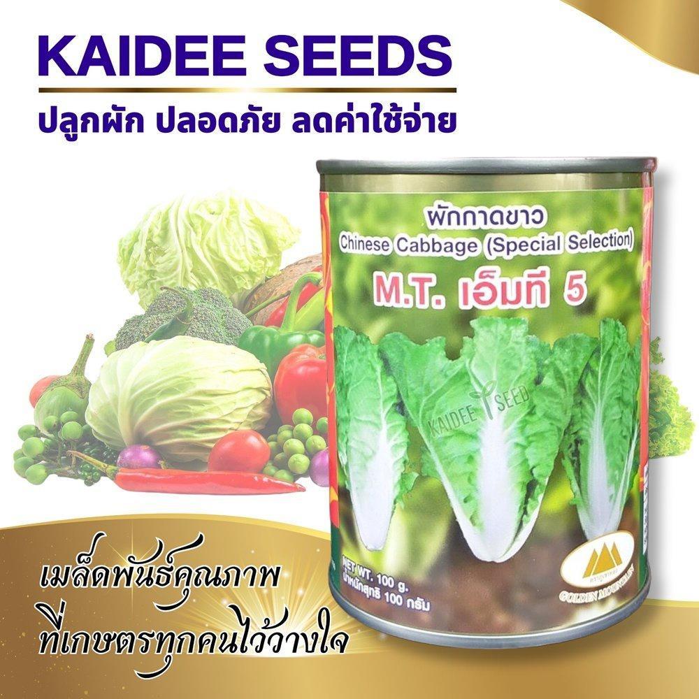 เมล็ดผักกาดขาว พันธุ์เบา เอ็มที M.T.5 ขนาด100กรัม ตราภูเขาทอง เมล็ดพันธุ์ผักกาดขาว เมล็ดพันธุ์ผัก ผักกาดขาวเบา
