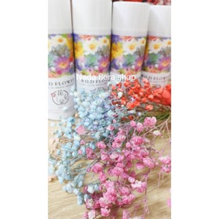 สีสเปรย์พ่นดอกไม้สดสำหรับเปลี่ยนสีดอกไม้มีให้เลือก15เฉดสีขนา…